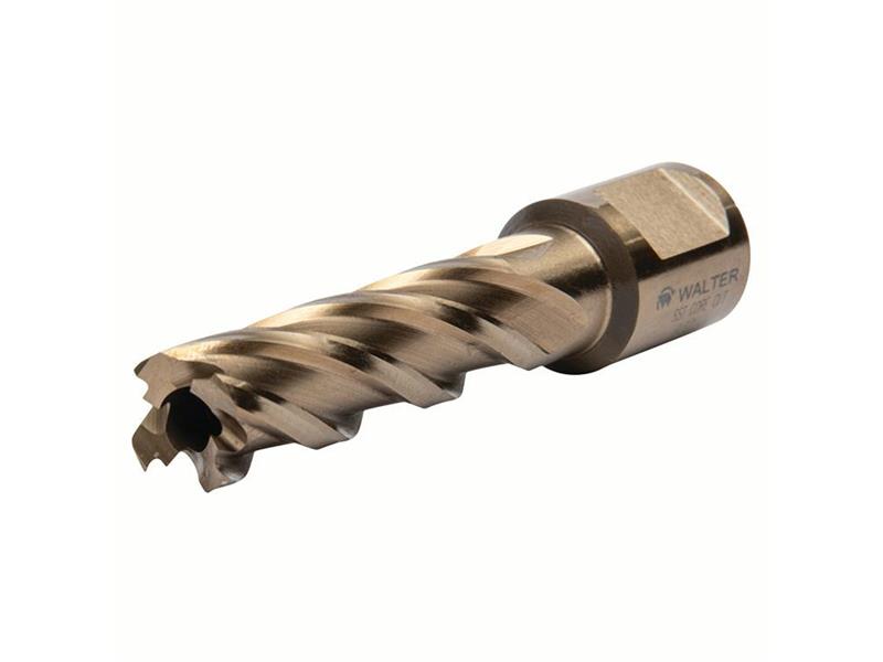 WALTER SURFACE TECHNOLOGIES 05A309