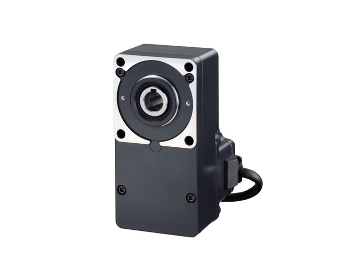 ORIENTAL MOTOR GFS5G100FR