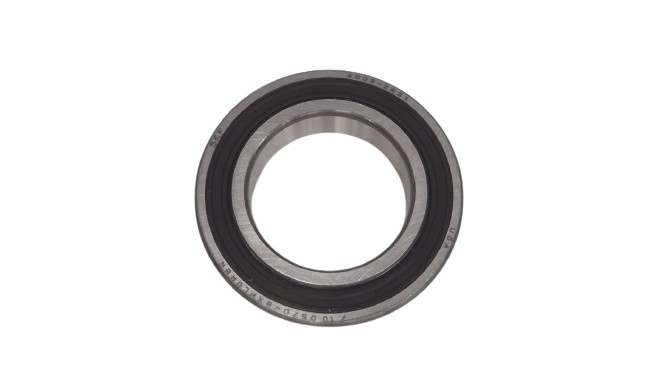 SKF 6009-2RS1