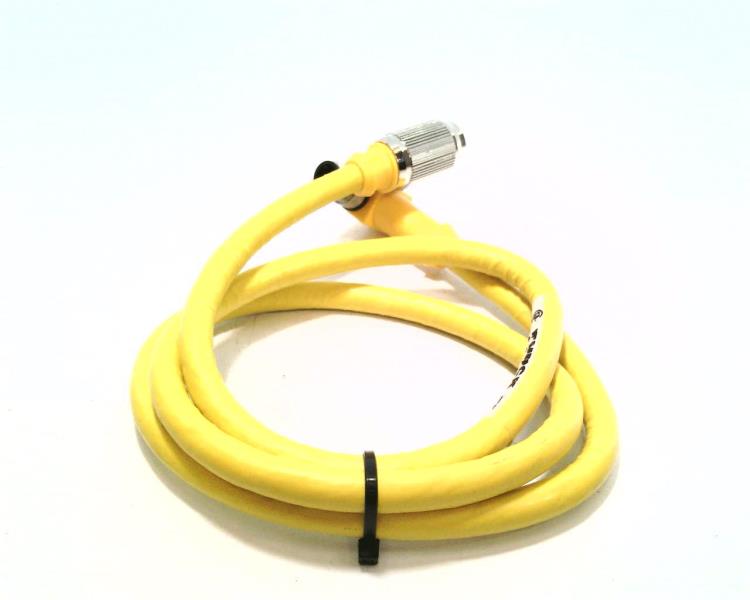 TURCK RKG 4.4T-1-WSE 4.4T/S600/SV