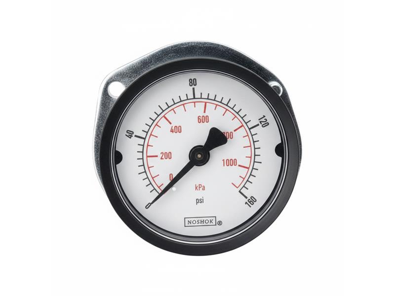NOSHOK 15-110-100-PSI/BAR-CFF-BP3