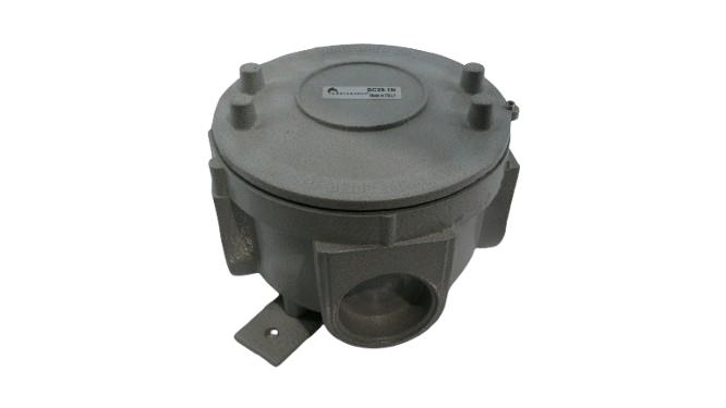 CORTEM GROUP SC29.1N