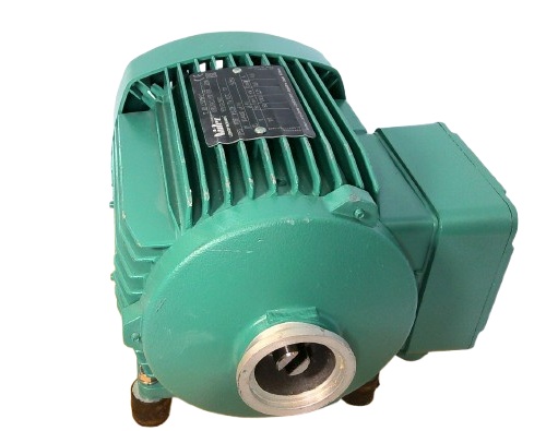 NIDEC CORP 4P LS71MP/T0.25KW-IM1001 (IM B3)-117VAC-60HZ-IP55