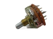MOUNTAIN SWITCH 10YQ026