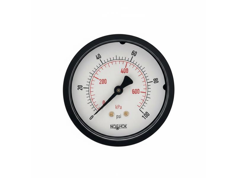 25-110-6000-PSI/KPA-SSB-BP3-CC by NOSHOK