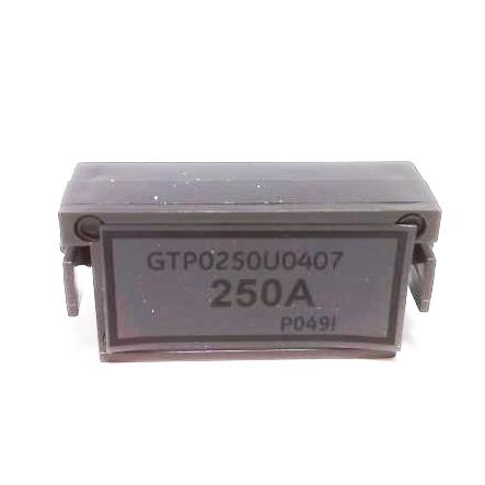 GENERAL ELECTRIC GTP0250U0407