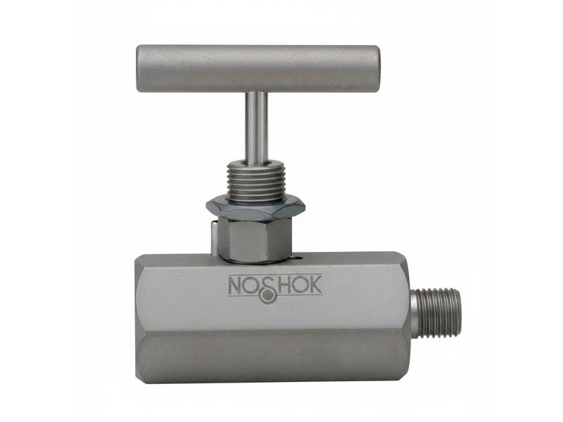 NOSHOK 10-02S-V-V-08C-1F-P