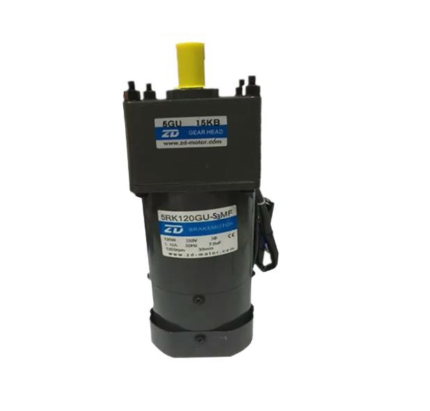 ZD MOTORS 5RK120GU-S3MF