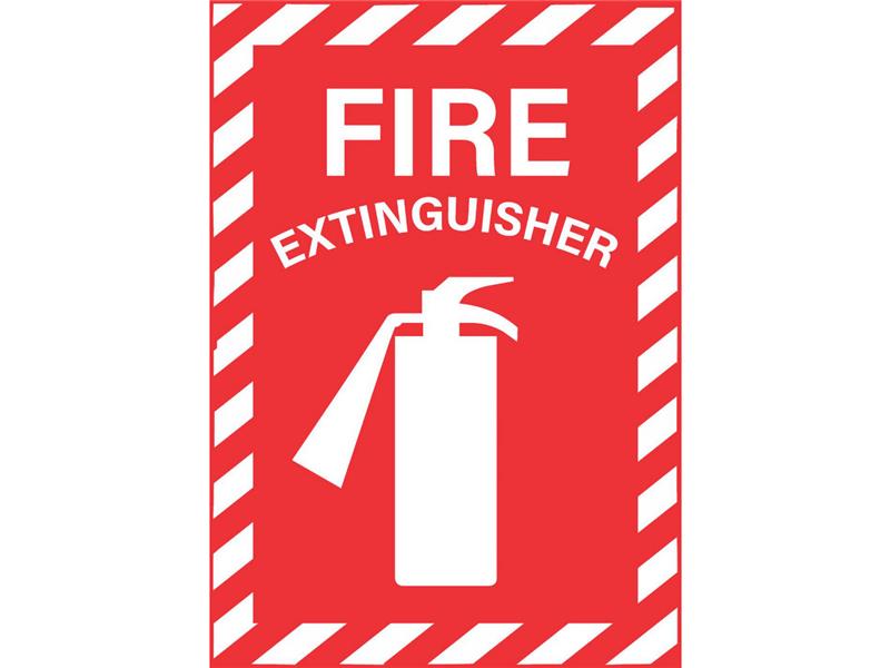 PRO SAFE INC PS-SGN125-107V