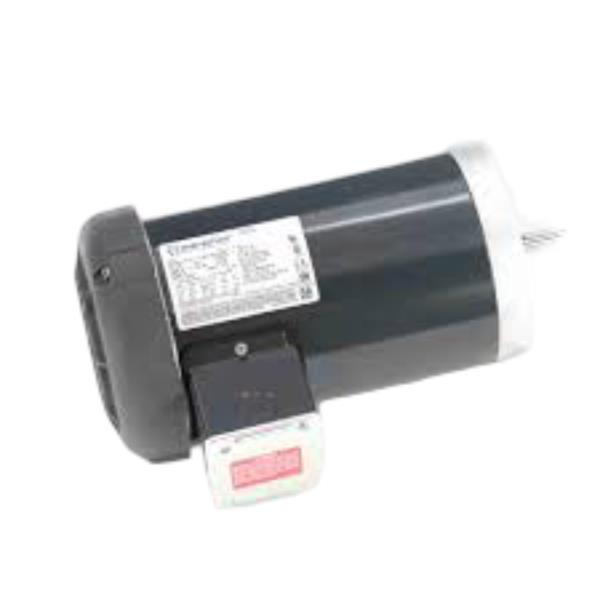 REGAL REXNORD 56T34F5325E