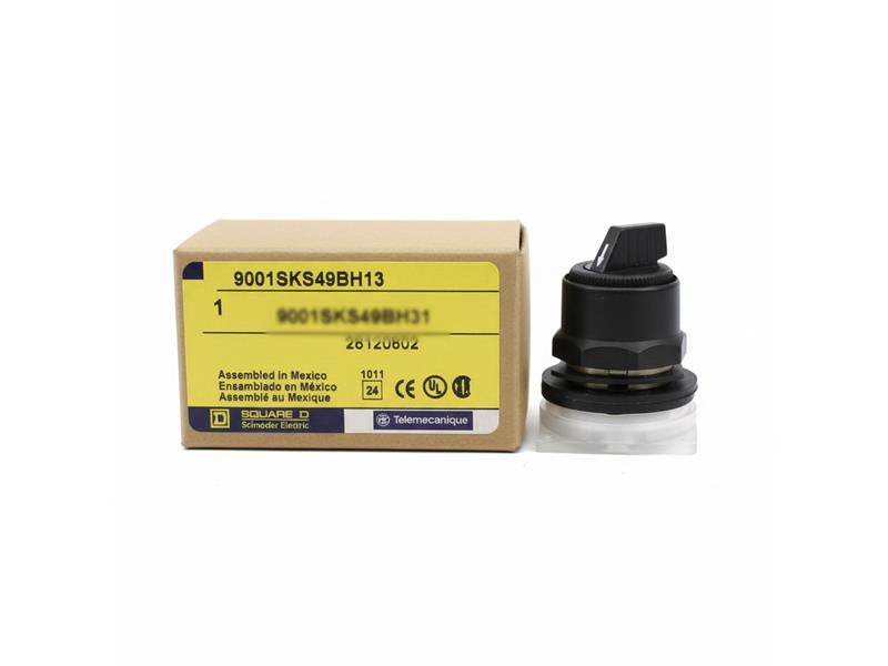 SCHNEIDER ELECTRIC 9001SKS49BH13