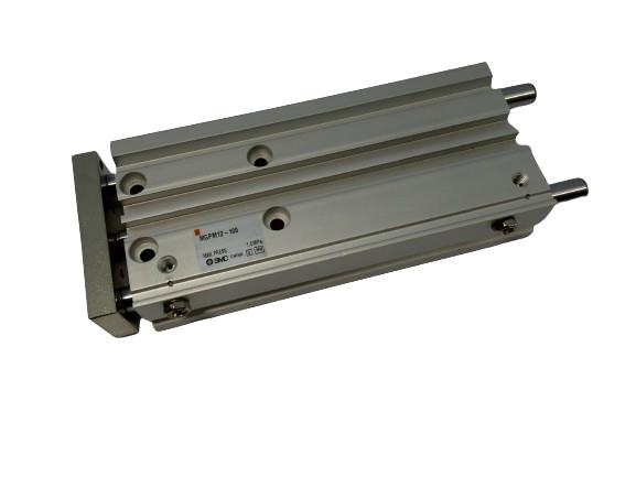 SMC MGPM12-100
