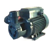 CALPEDA TM61E
