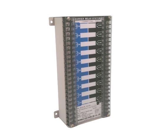 TAKENAKA LTD 4810-FM