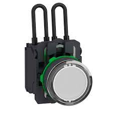 SCHNEIDER ELECTRIC XB5AW21G5