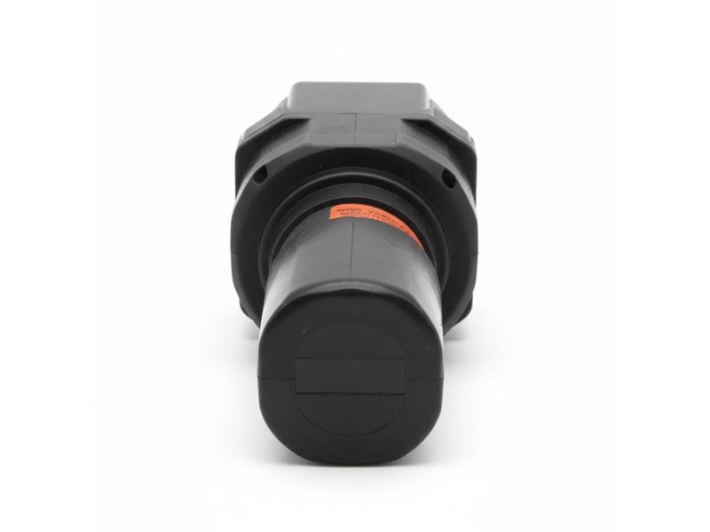 PLEWS & EDELMANN 2120AD