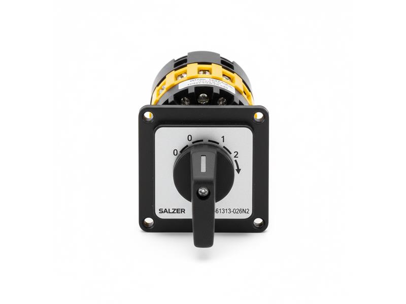 P220-61313-026N2 by SALZER