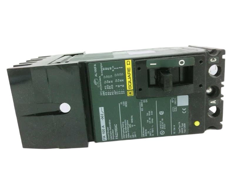 FA22100AC by SCHNEIDER ELECTRIC