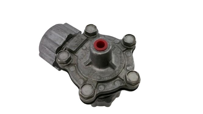 RCA20DD000 by PENTAIR