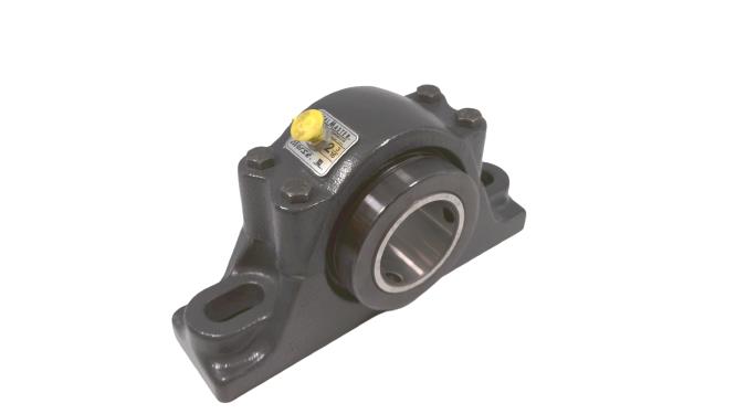 REGAL REXNORD RPB 203-C2