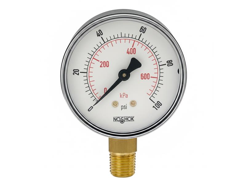 25-100-30-PSI/BAR-BSC-BCR-BP3 by NOSHOK