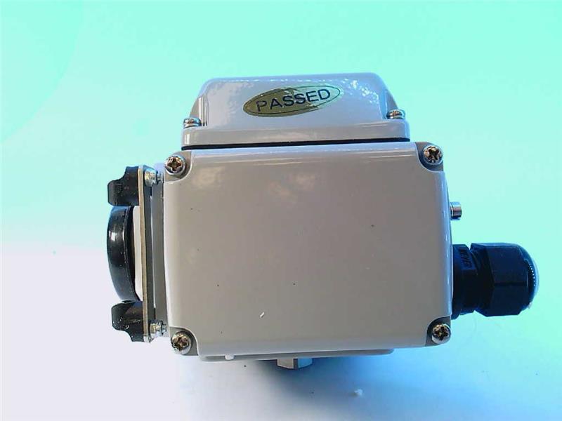 AUTOFLAME ENGINEERING MM10070/110