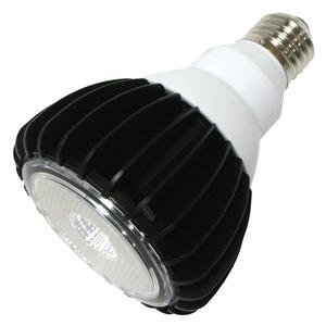 GTE LEDP/PAR30LN-FL-30K