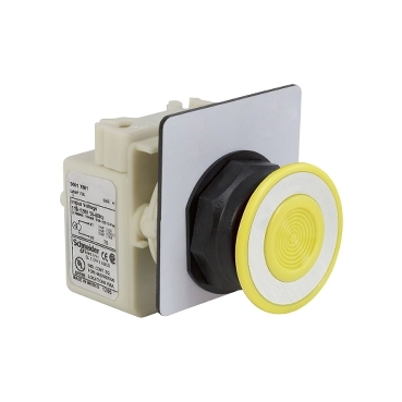 SCHNEIDER ELECTRIC 9001-SKR9P38LYH13