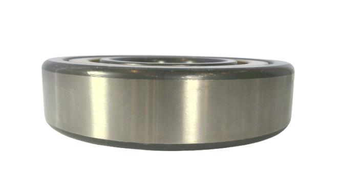 SCHAEFFLER GROUP NU313-E-M1-C3