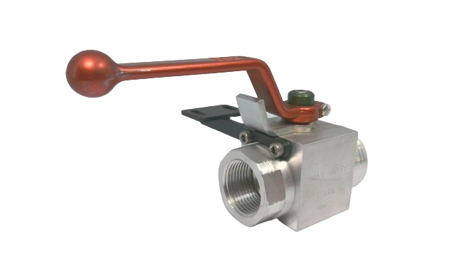 DMIC BVAL-1000B-4321CEZN