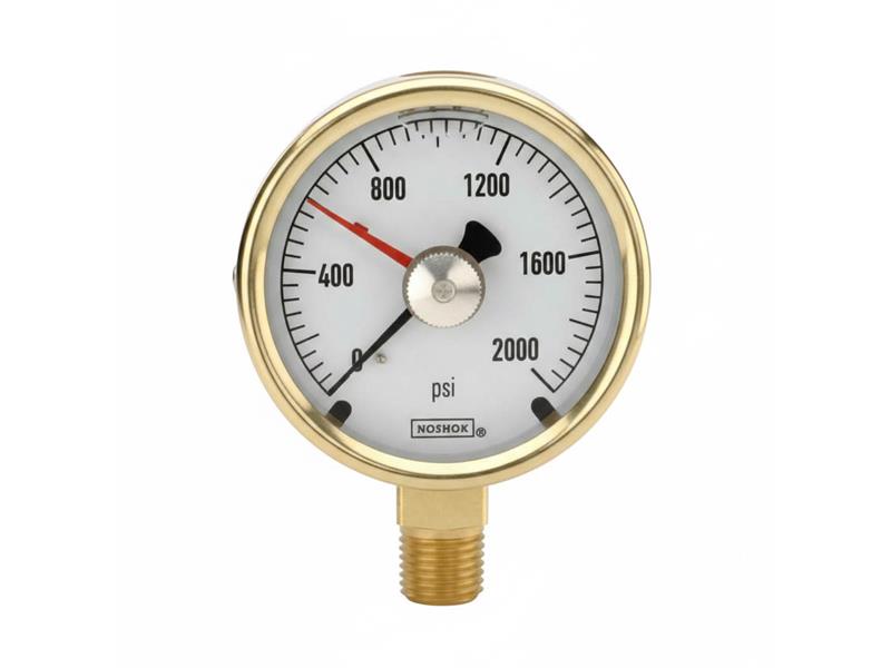 NOSHOK 40-300-100-PSI/KPA-BT8-GY40