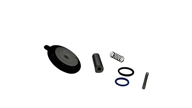 NORGREN 1256274.0000.00000