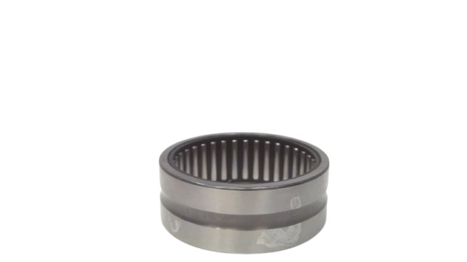 SCHAEFFLER GROUP NK45/20-TV-XL