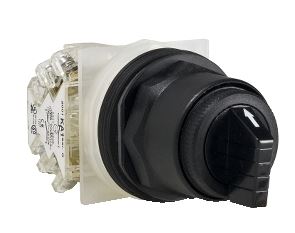 SCHNEIDER ELECTRIC 9001SKS88BH2