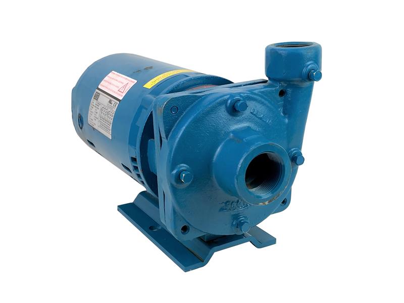 CRANE PUMPS & SYSTEMS INC 310G5-1-1/4