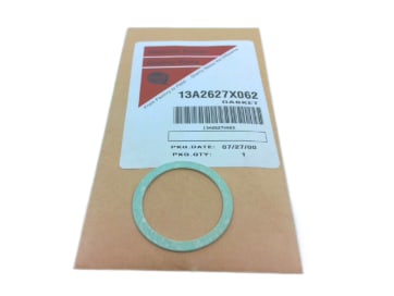 13A2627X062 by THERMO FISHER SCIENTIFIC