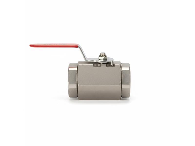 GEMINI VALVE 2-86-6-RT-6-A