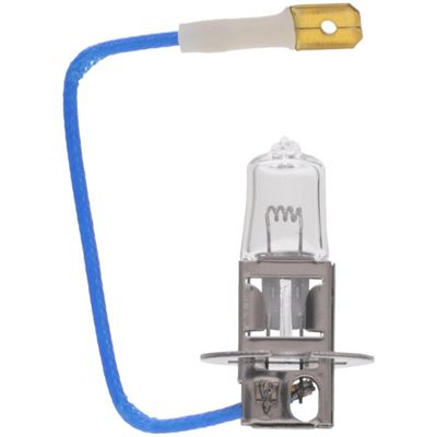 WAGNER LIGHTING BP2470/H3