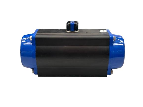 DELVAL FLOW CONTROLS 2110012CXXX0