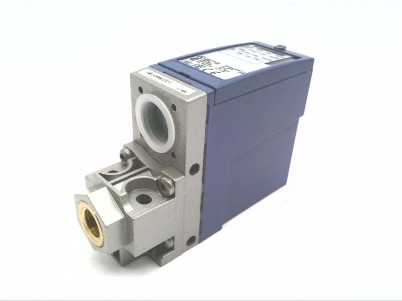 TELEMECANIQUE SENSORS XMLA300D2S13