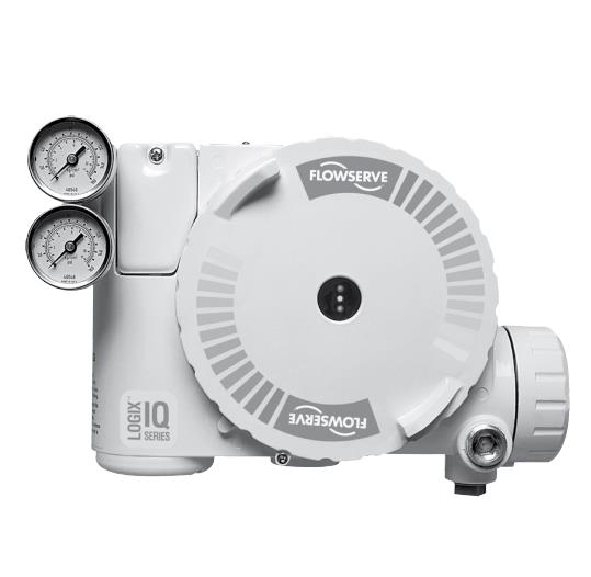 FLOWSERVE 216428.999.000