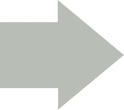 PRO SAFE INC H6903TL141