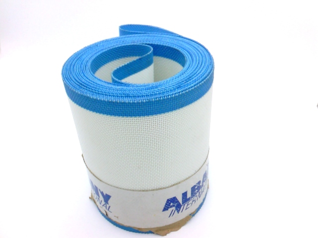 ALBANY INTERNATIONAL 1000226560