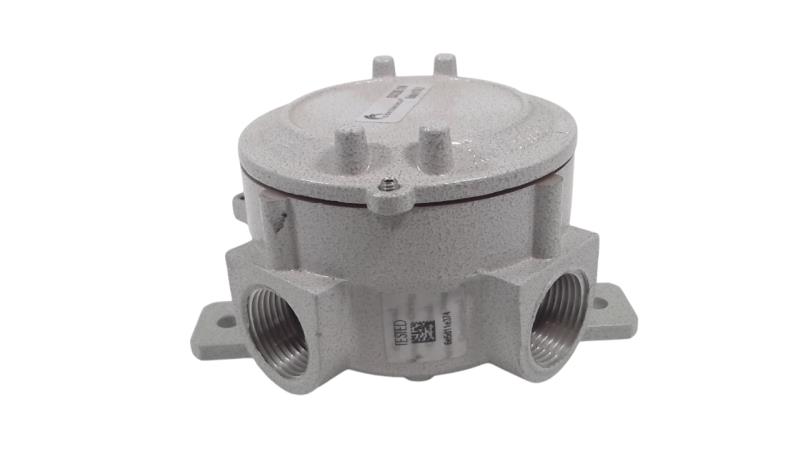 CORTEM GROUP SX26.1N