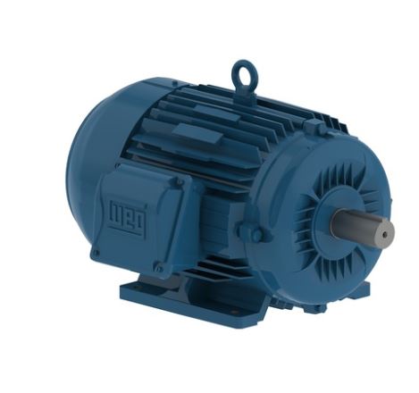 WEG 00318ET3E182T-W22