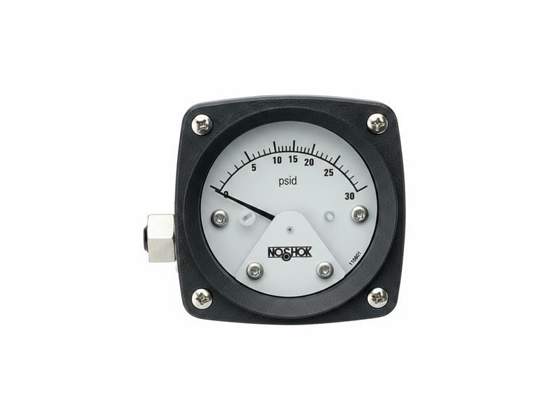 15-110-160-PSI/KG/CM2-BLFF by NOSHOK