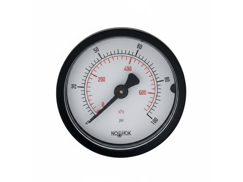 NOSHOK 20-110-60-PSI/KG/CM2-CFF