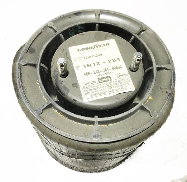 GOODYEAR TIRE & RUBBER G1015009