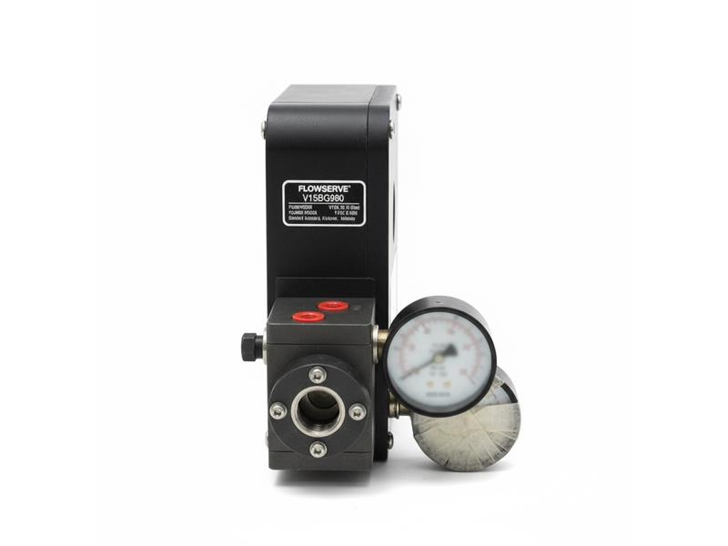 FLOWSERVE V15BG980