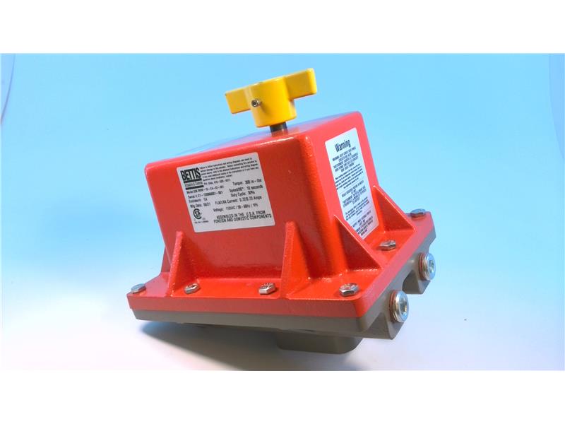 BETTIS EM 300M-10-C4-02-001